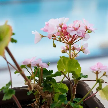 Апартамент Charming 1 Bedroom For Up To 4 Guests